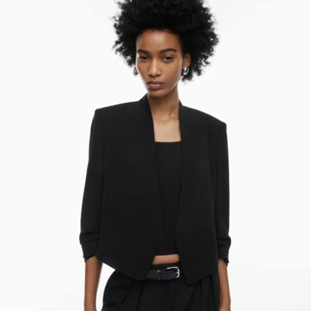 Aritzia Babaton POWER waist blazer